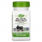    Nature's Way 500  100 